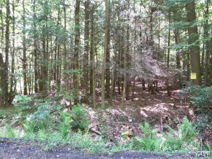 more trees