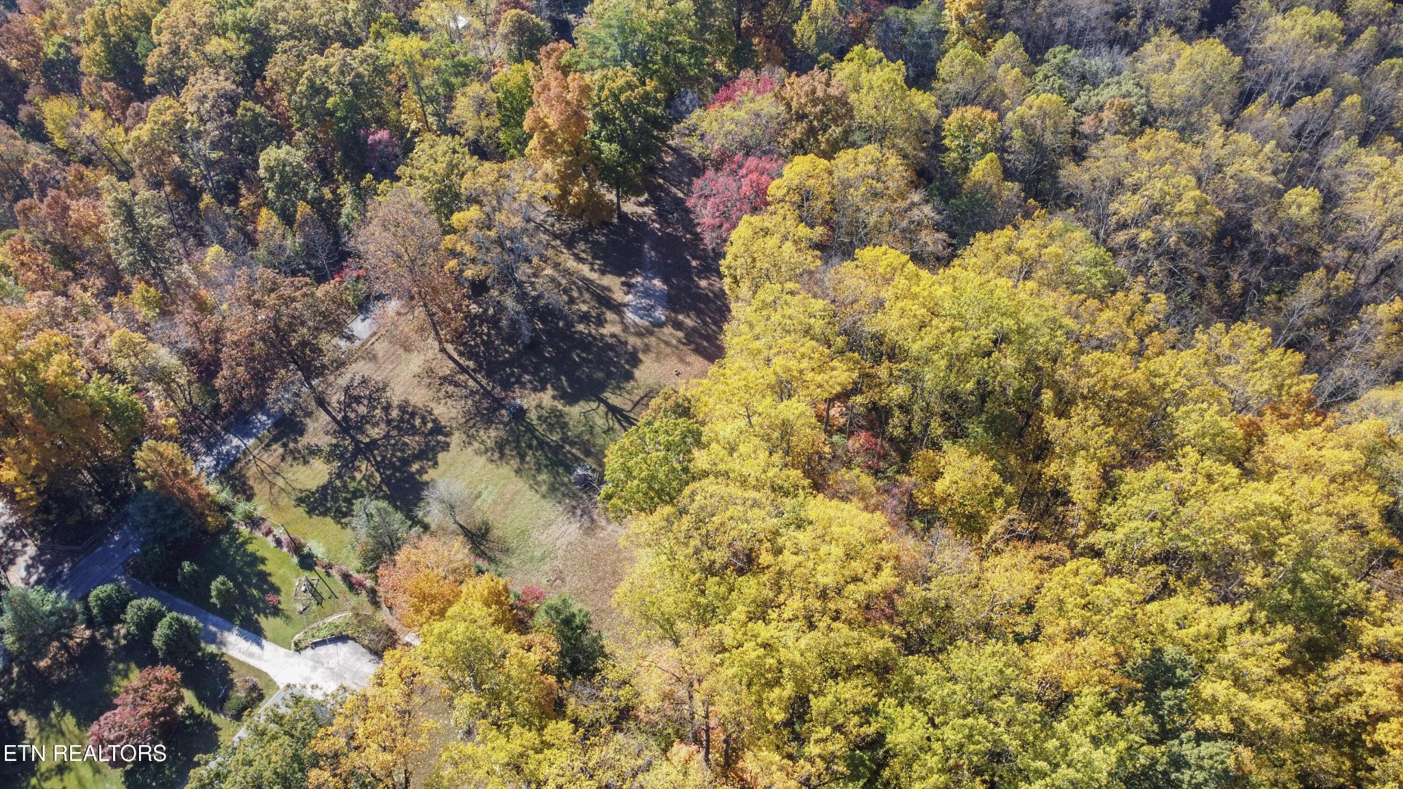 0 5547 Hutton Ridge Road Maryville, TN 37801 - Photo 11 of 22 a view of a tree