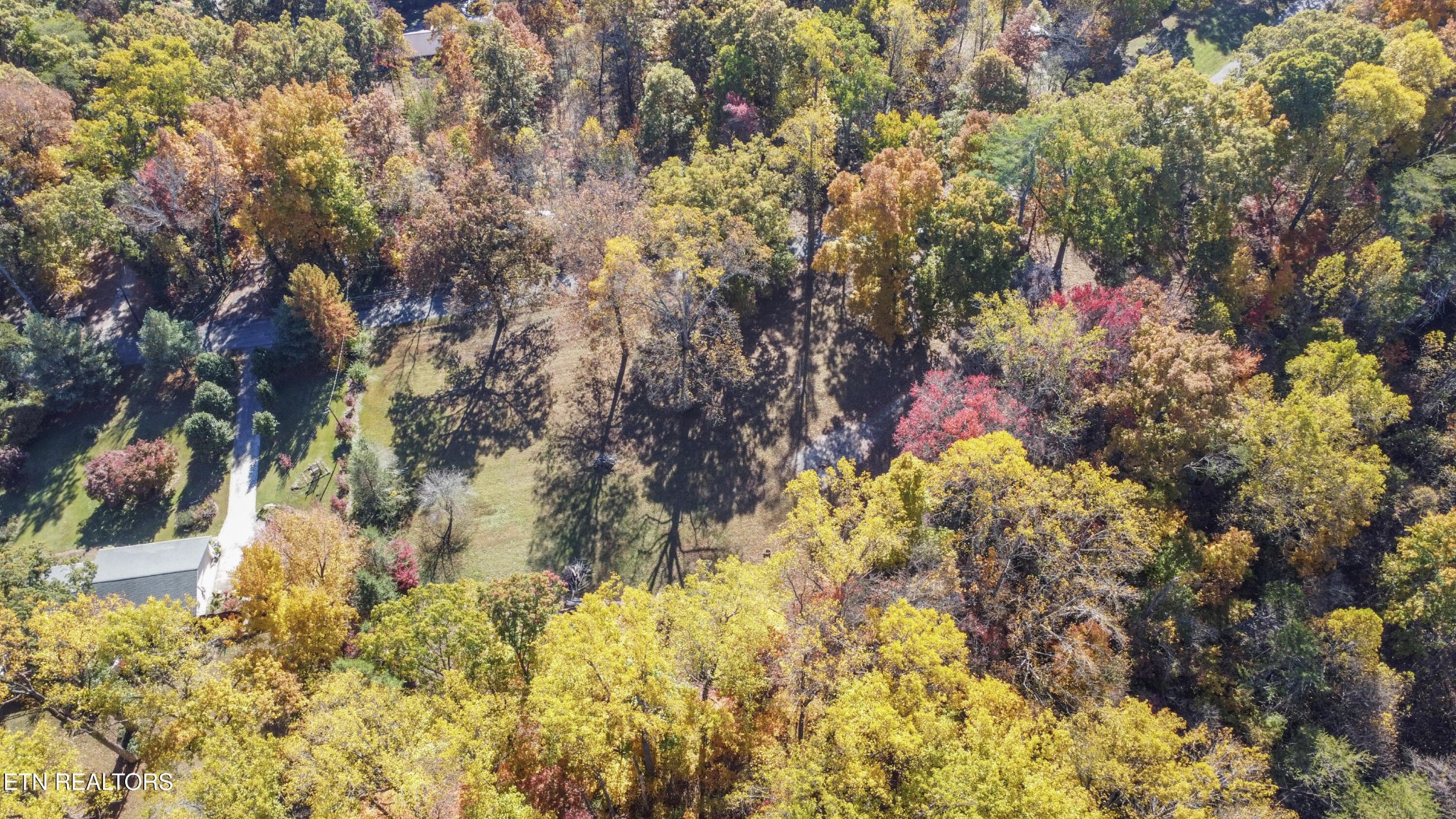 0 5547 Hutton Ridge Road Maryville, TN 37801 - Photo 13 of 22 a backyard of a house with lots of trees
