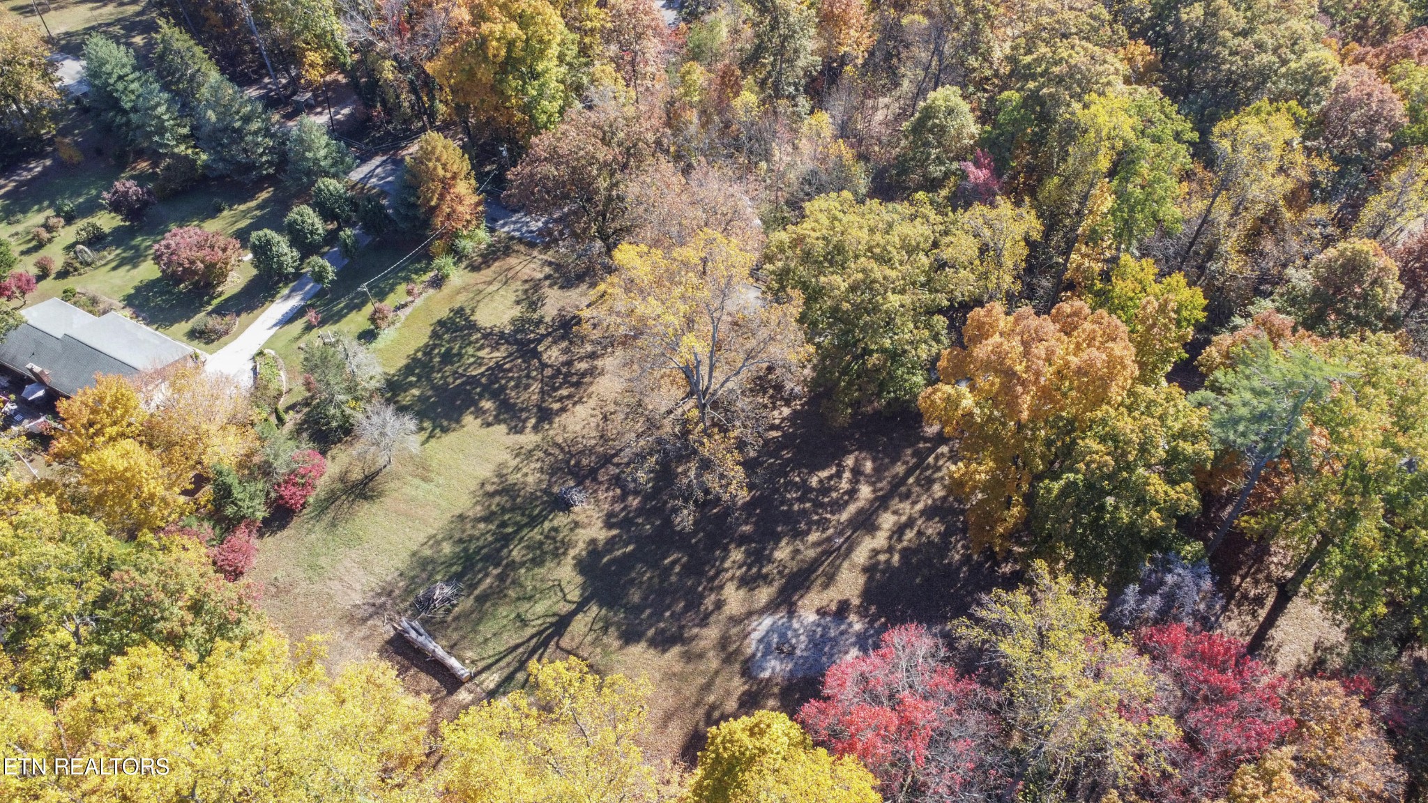 0 5547 Hutton Ridge Road Maryville, TN 37801 - Photo 14 of 22 a view of a tree