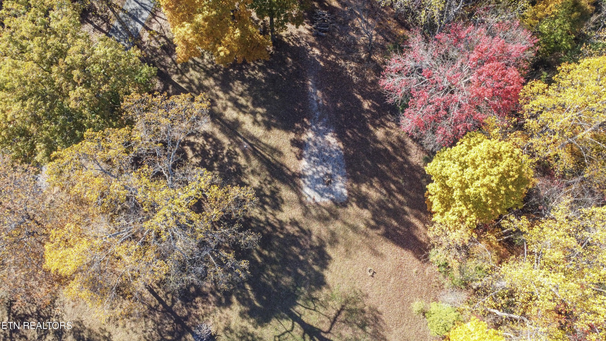 0 5547 Hutton Ridge Road Maryville, TN 37801 - Photo 15 of 22 a close up of a tree