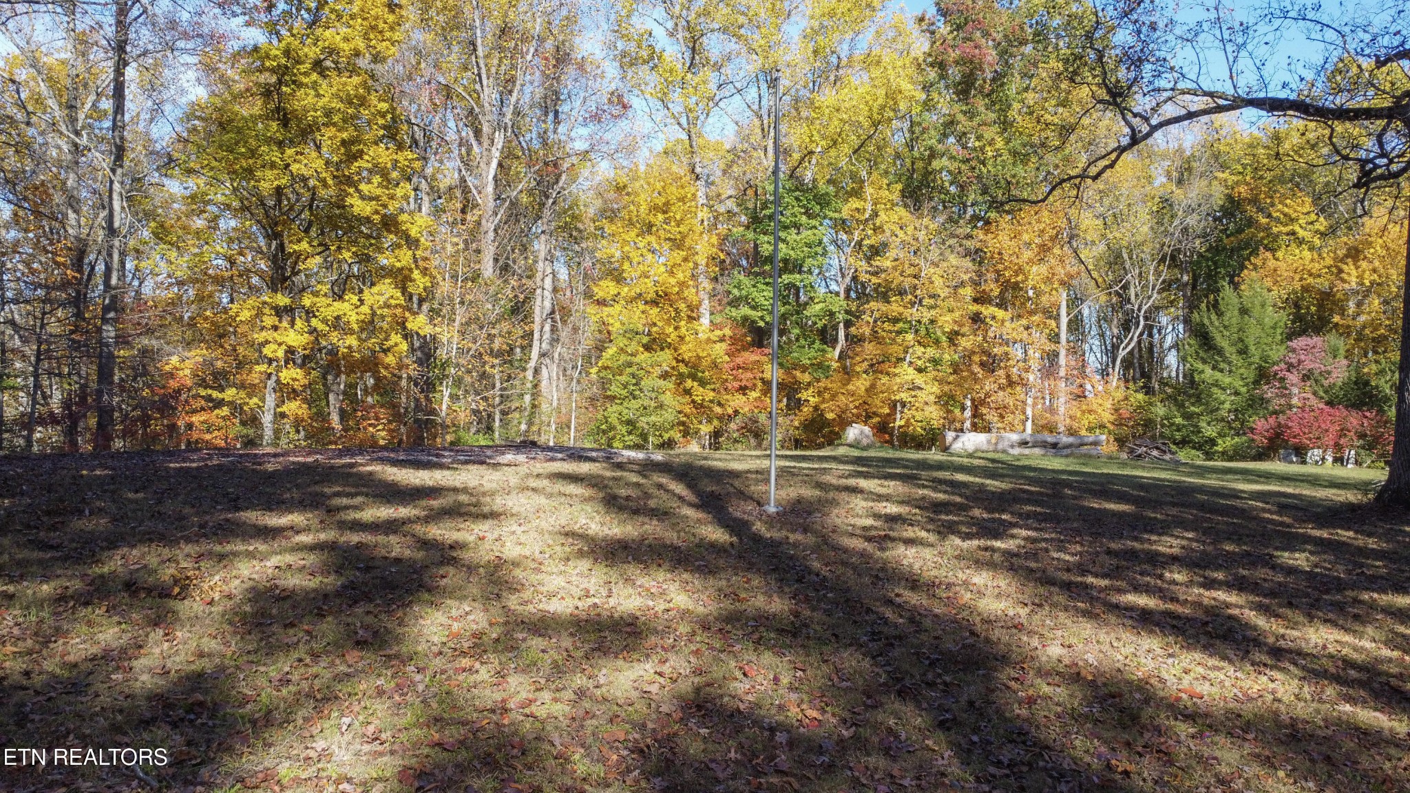 0 5547 Hutton Ridge Road Maryville, TN 37801 - Photo 19 of 22 a view of yard
