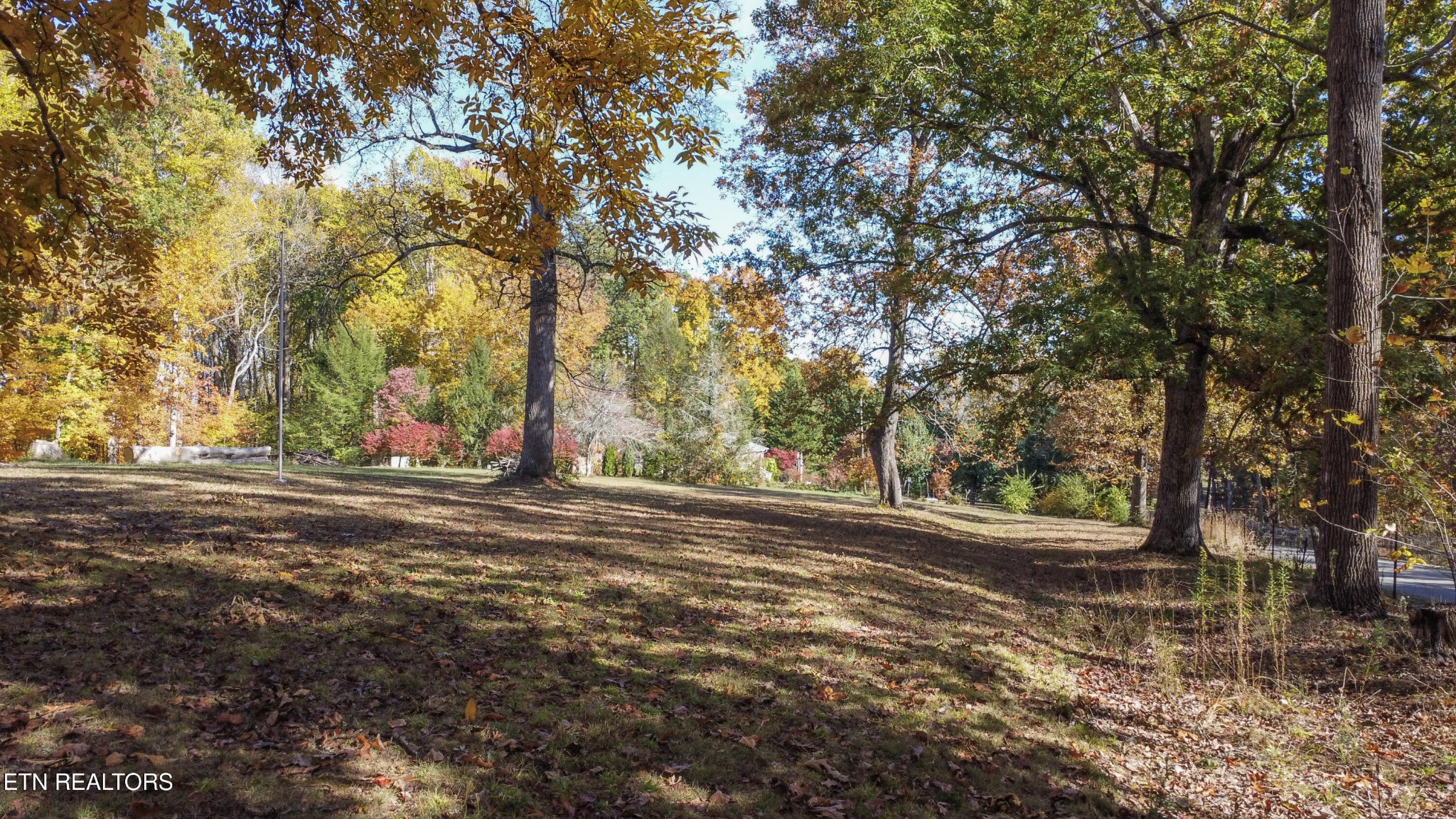 0 5547 Hutton Ridge Road Maryville, TN 37801 - Photo 20 of 22 a view of a yard with large trees