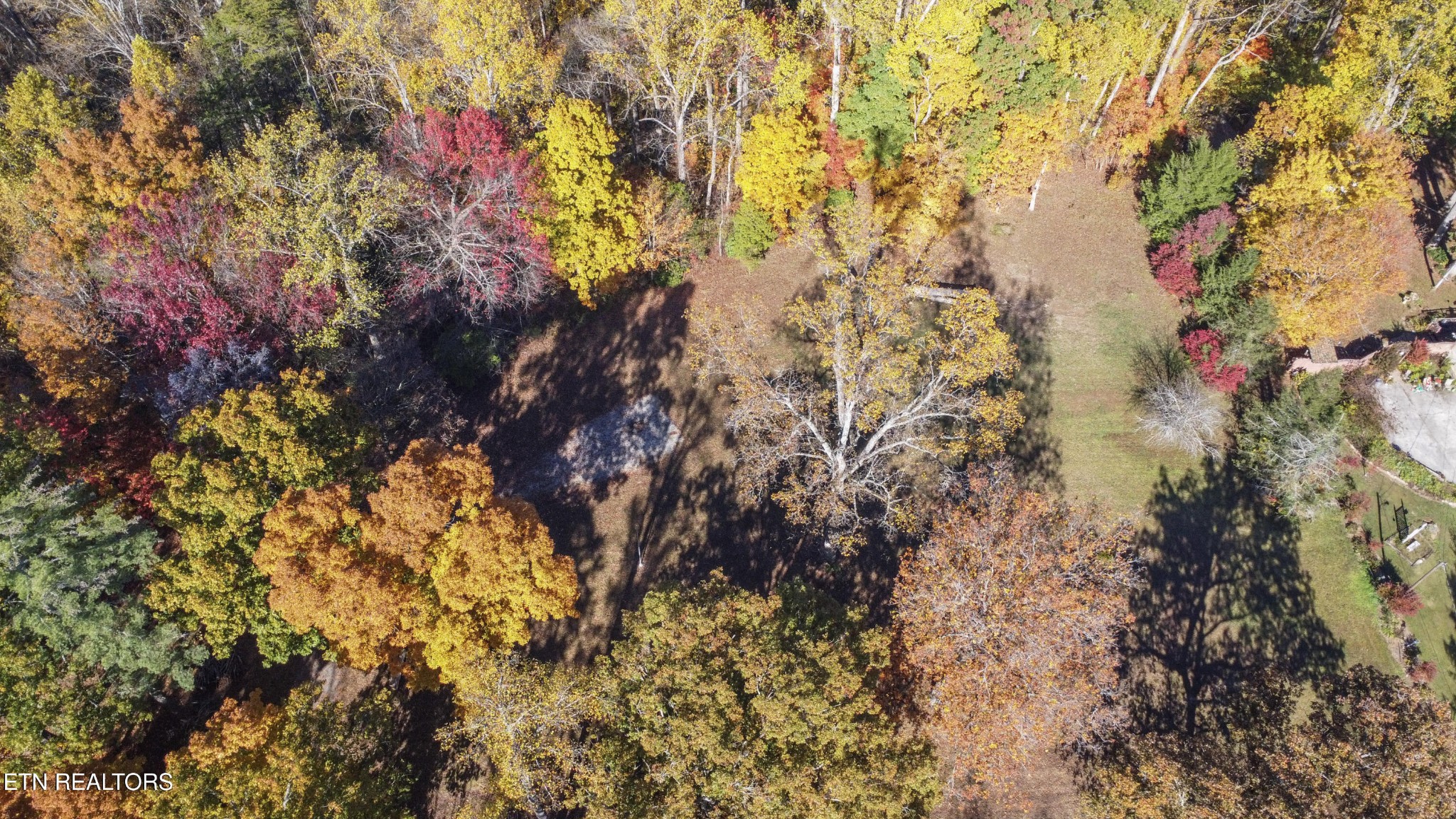 0 5547 Hutton Ridge Road Maryville, TN 37801 - Photo 2 of 22 a picture of tree