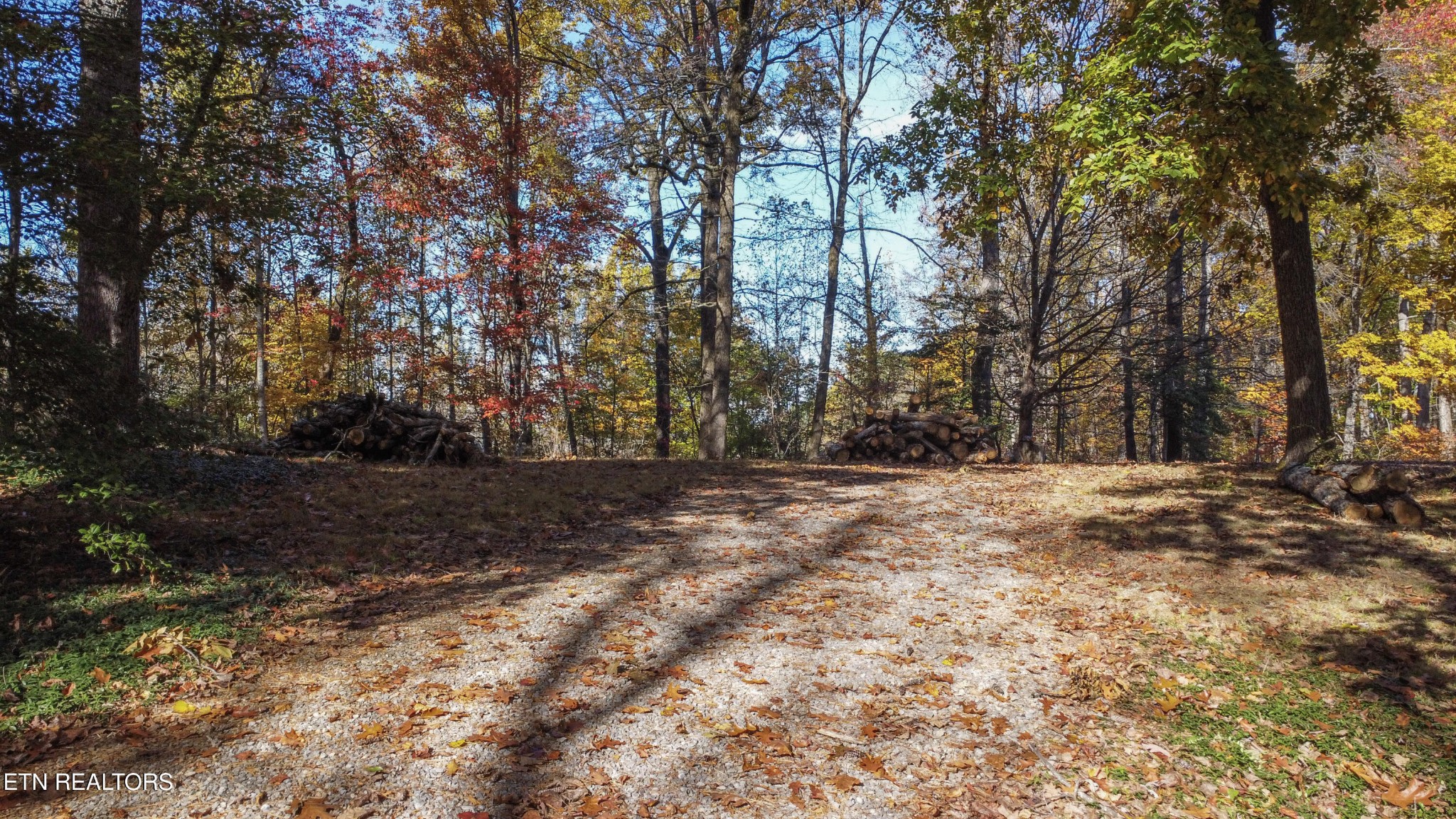 0 5547 Hutton Ridge Road Maryville, TN 37801 - Photo 21 of 22 a view of outdoor space yard and trees
