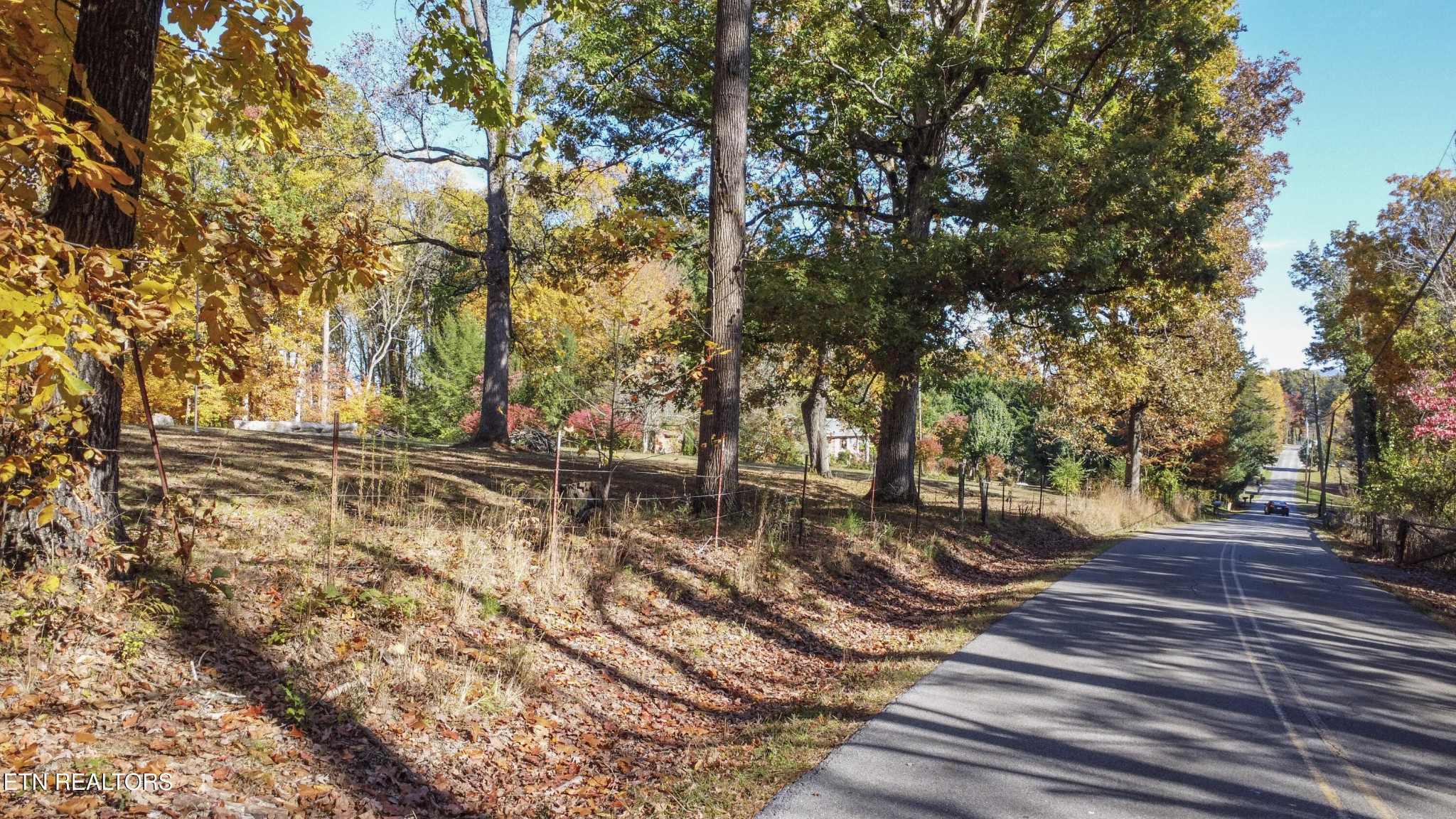 0 5547 Hutton Ridge Road Maryville, TN 37801 - Photo 22 of 22 a view of yard with tree s