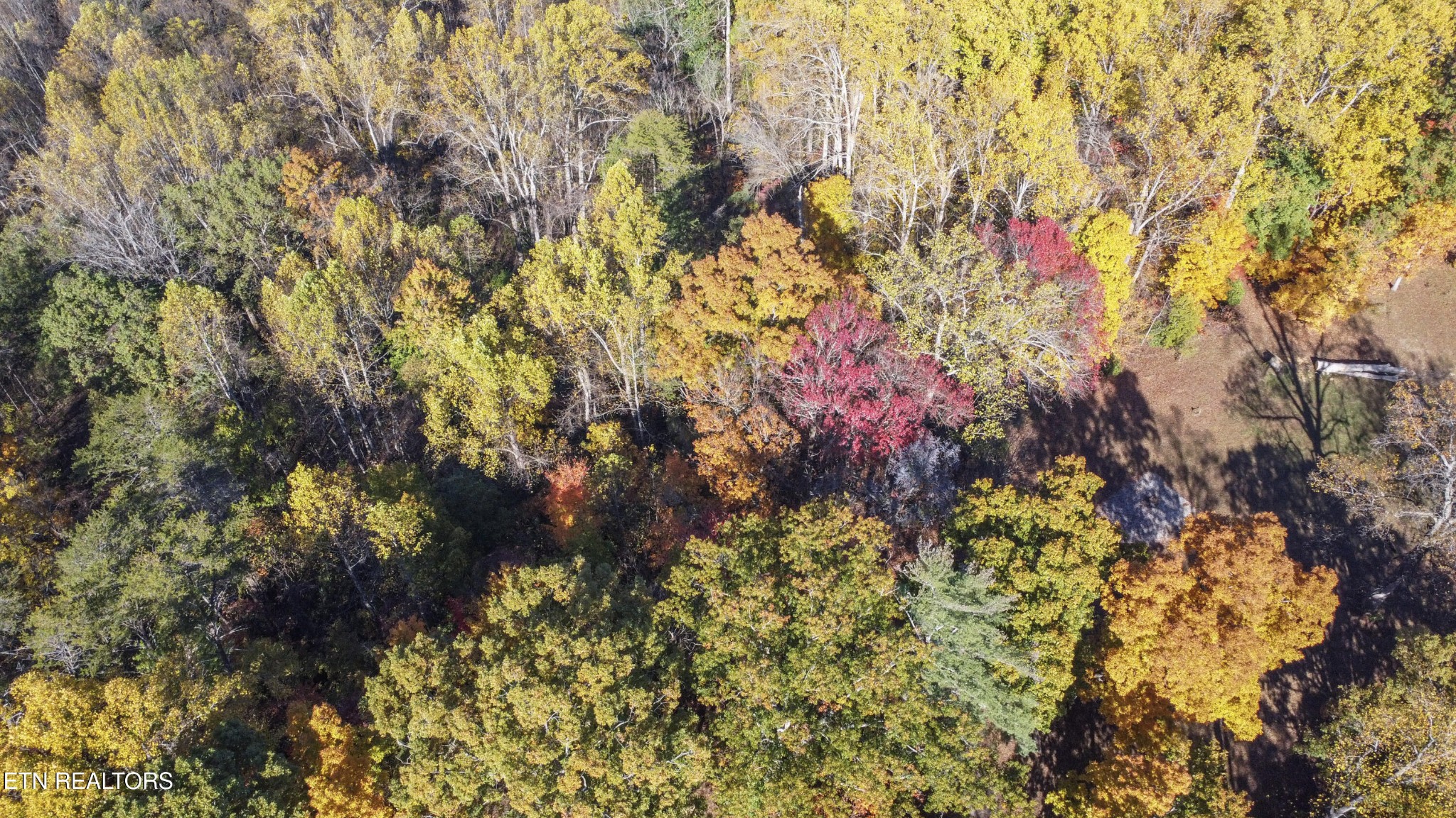 0 5547 Hutton Ridge Road Maryville, TN 37801 - Photo 3 of 22