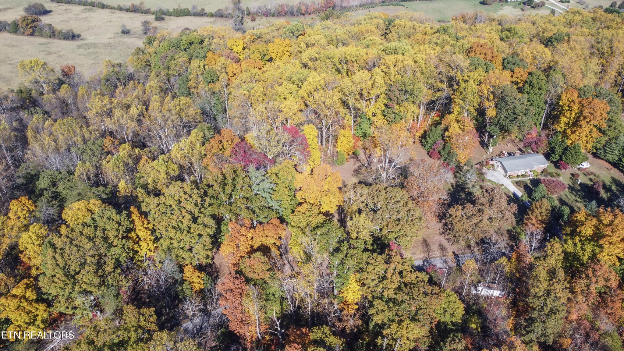 0 5547 Hutton Ridge Road Maryville, TN 37801 - Photo 6 of 22 a view of a yard