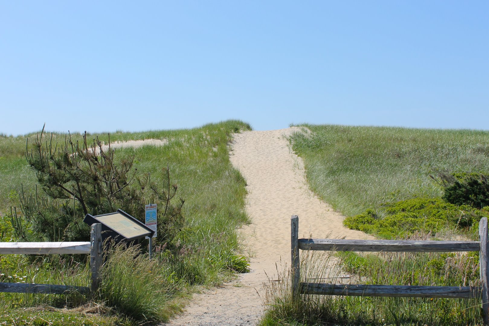 4 Katama Farm Road Edgartown, MA 02539 - Photo 35 of 40 This is what it is all about...