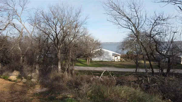 a view of a yard