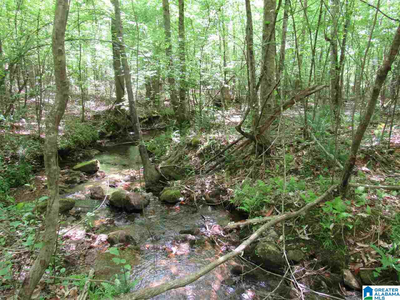 0 County Road 895, Unit 17 ACRES Lineville, AL 36266 - Photo 16 of 30