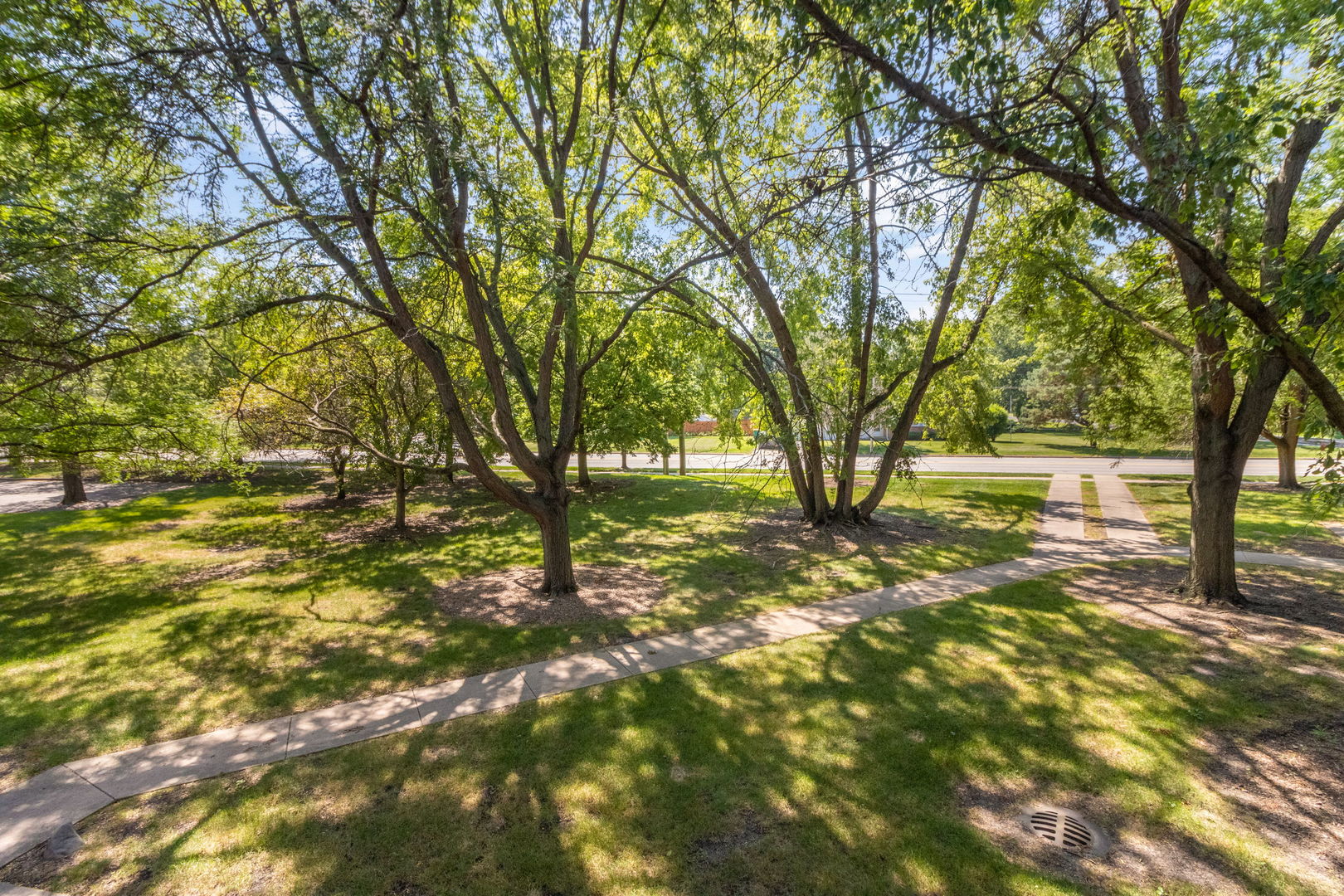 3119 Ingalls Avenue, Unit 2A Joliet, IL 60435 - Photo 18 of 20