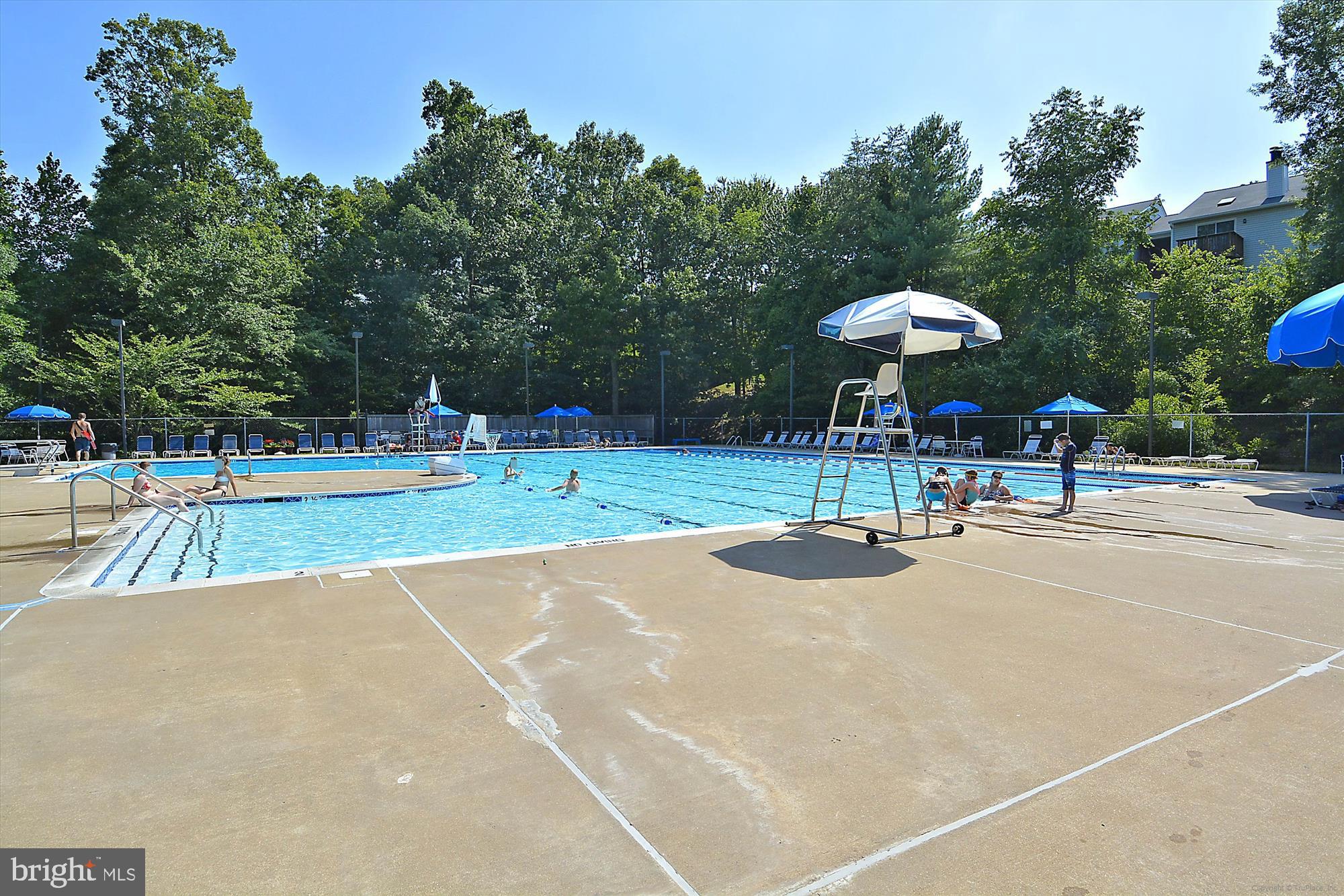 7707 Lexton Place, Unit 41 Springfield, VA 22152 - Photo 31 of 56 COMMUNITY POOL