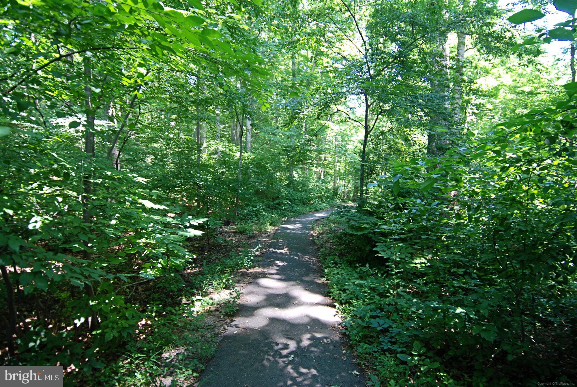 7707 Lexton Place, Unit 41 Springfield, VA 22152 - Photo 35 of 56 COMMUNITY WOODED TRAILS