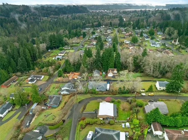 an aerial view of green landscape with trees