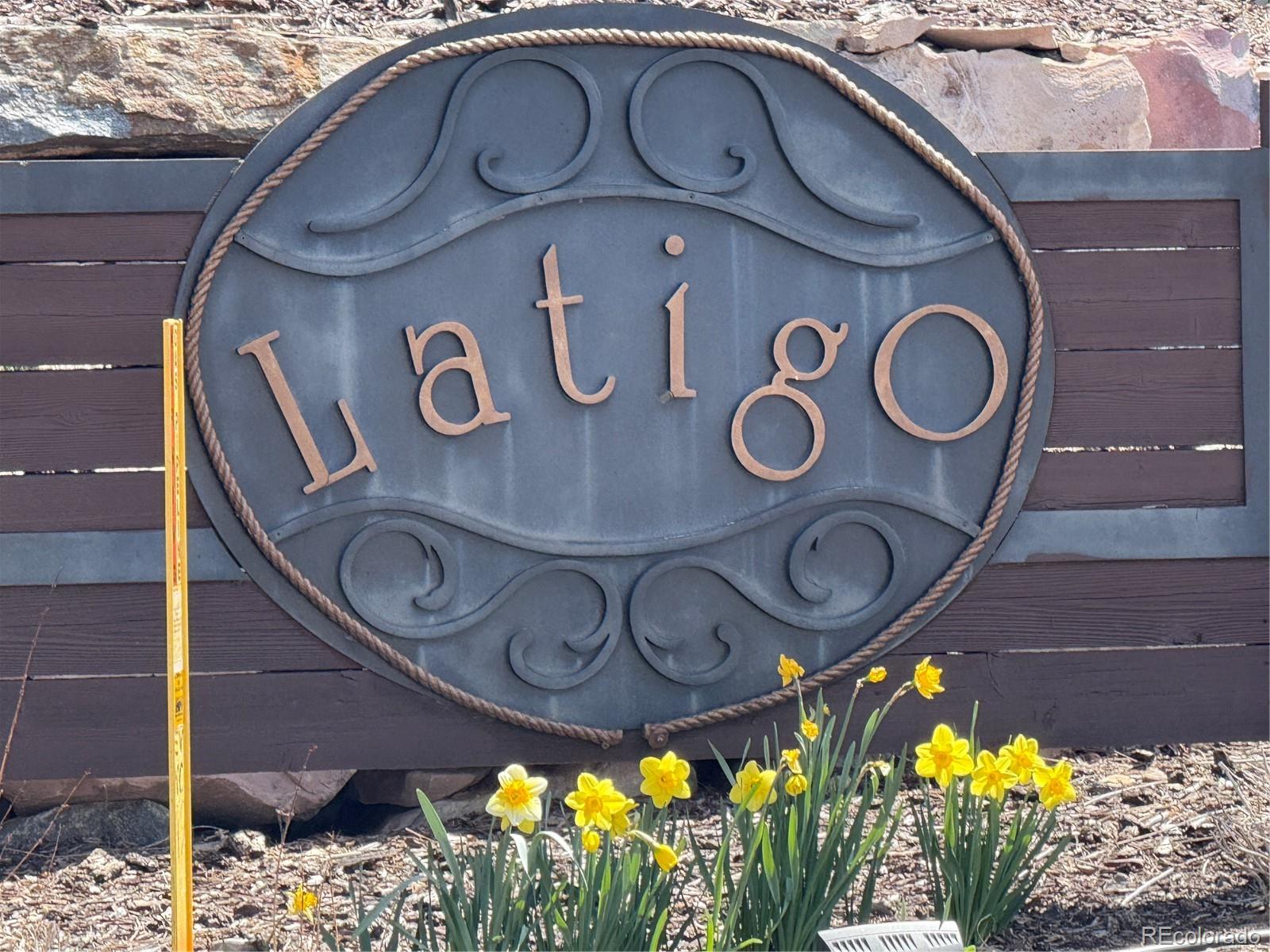 5071 Diamond Sky Road Castle Rock, CO 80108 - Photo 48 of 48