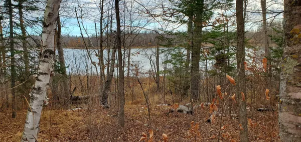 $210,000 | Tbd - Parcel B Tbd - Parcel B Ticonderoga Trail, Hackensack, MN 56452