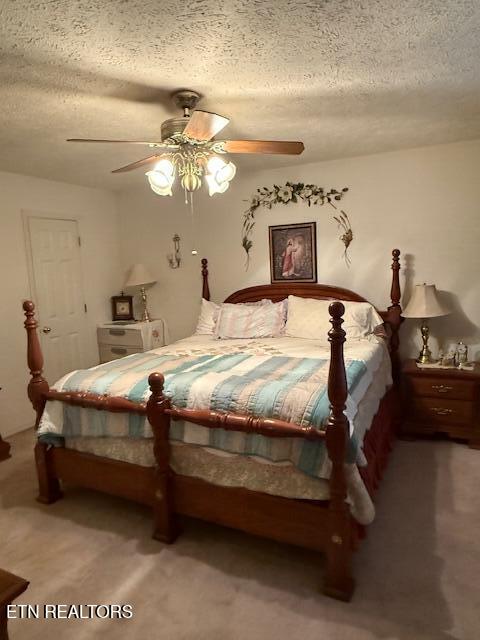 175 Vernie Lee Road Friendsville, TN 37737 - Photo 12 of 23 IMG_1521