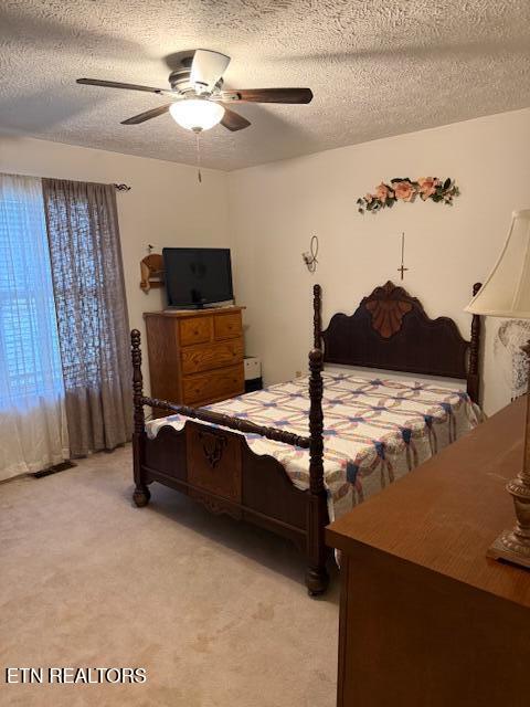 175 Vernie Lee Road Friendsville, TN 37737 - Photo 15 of 23 IMG_1525