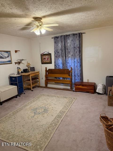 175 Vernie Lee Road Friendsville, TN 37737 - Photo 16 of 23 IMG_1529