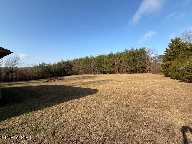 175 Vernie Lee Road Friendsville, TN 37737 - Photo 20 of 23 IMG_1414 (2)