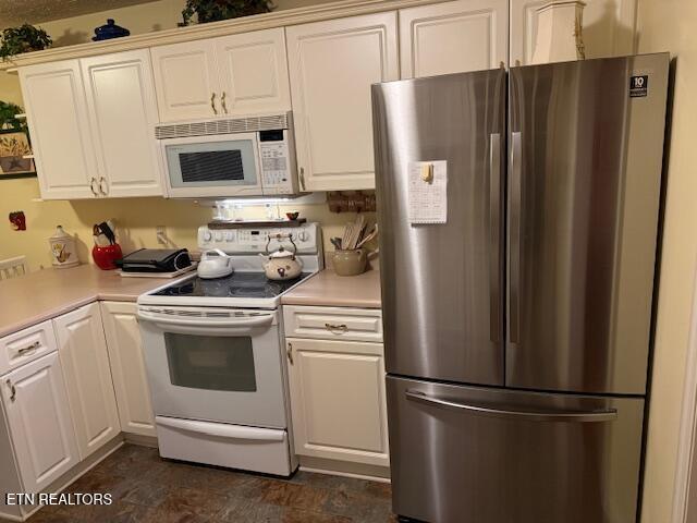 175 Vernie Lee Road Friendsville, TN 37737 - Photo 8 of 23 IMG_1550 (1)