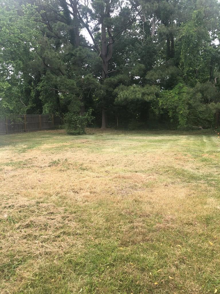 20263 Quinby Bridge Road Melfa, VA 23410 - Photo 7 of 15