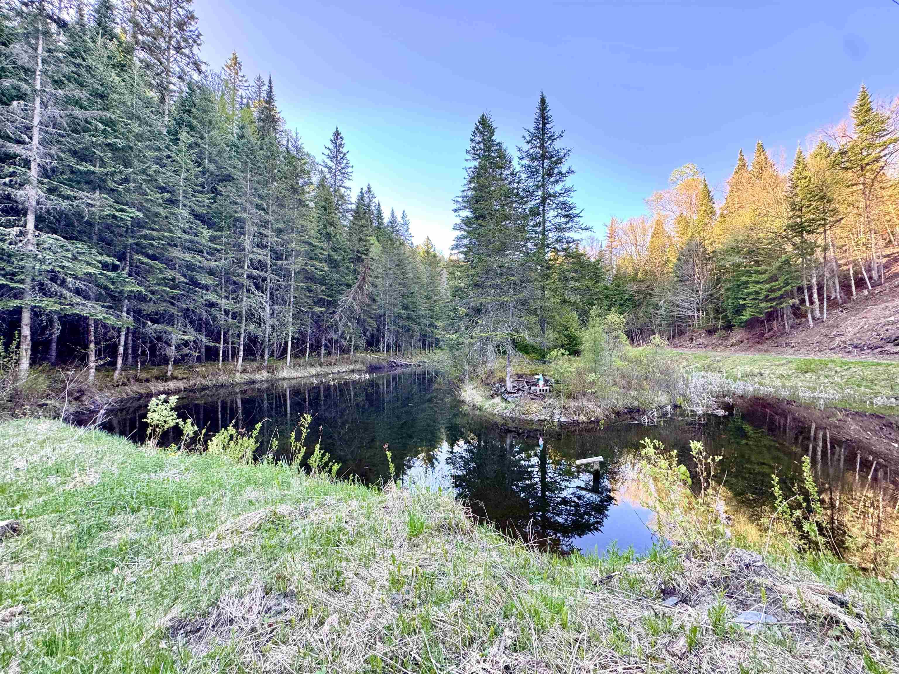 Lot 8 Gulch Brook Road Stewartstown, NH 03576 - Photo 19 of 22
