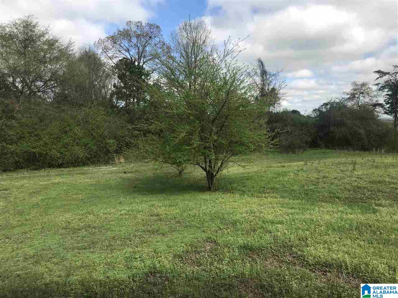 3551 Alexandria-Wellington Road Alexandria, AL 36250 - Photo 40 of 42