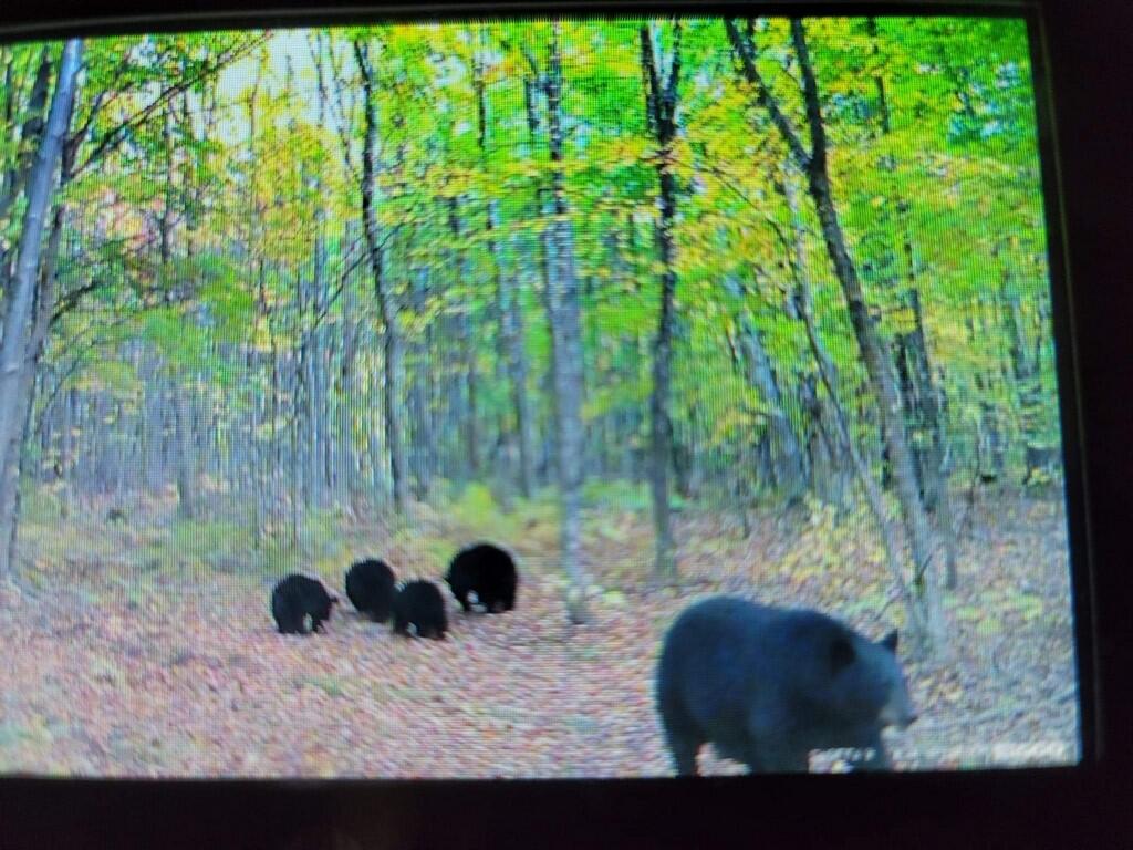 130 North Stagecoach Road Sebec, ME 04481 - Photo 31 of 34 Photo (31)