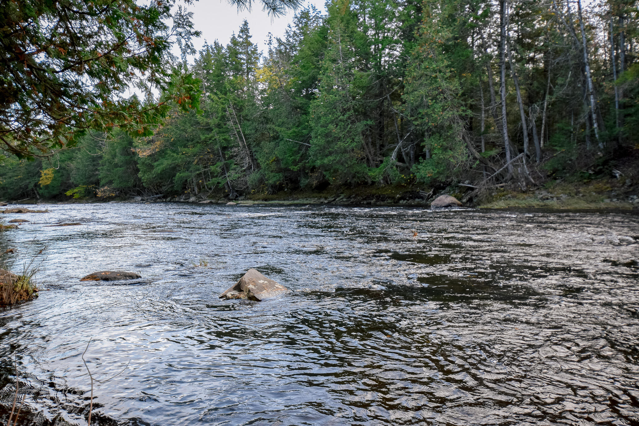 Lot 8 Coles Corner Road Abbot, ME 04406 - Photo 67 of 77 DSC_0985