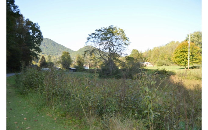 0 Cody Br Road Robbinsville, NC 28771 - Photo 1 of 1 Main View