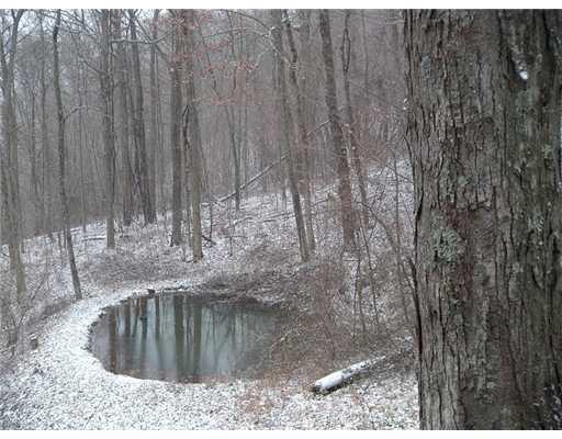 Lot 21 Eicher Road Confluence, PA 15424 - Photo 4 of 10 View. POND