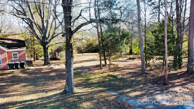 a view of a yard with trees