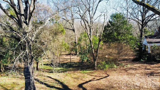 a view of a yard with plants and trees