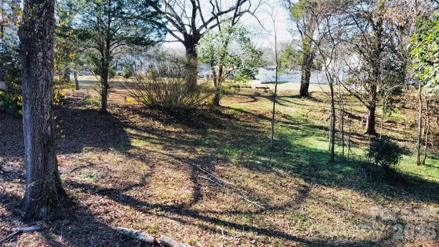 a view of a yard with trees