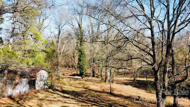 a view of road with trees