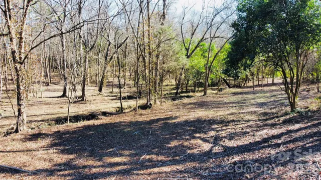a view of yard with trees