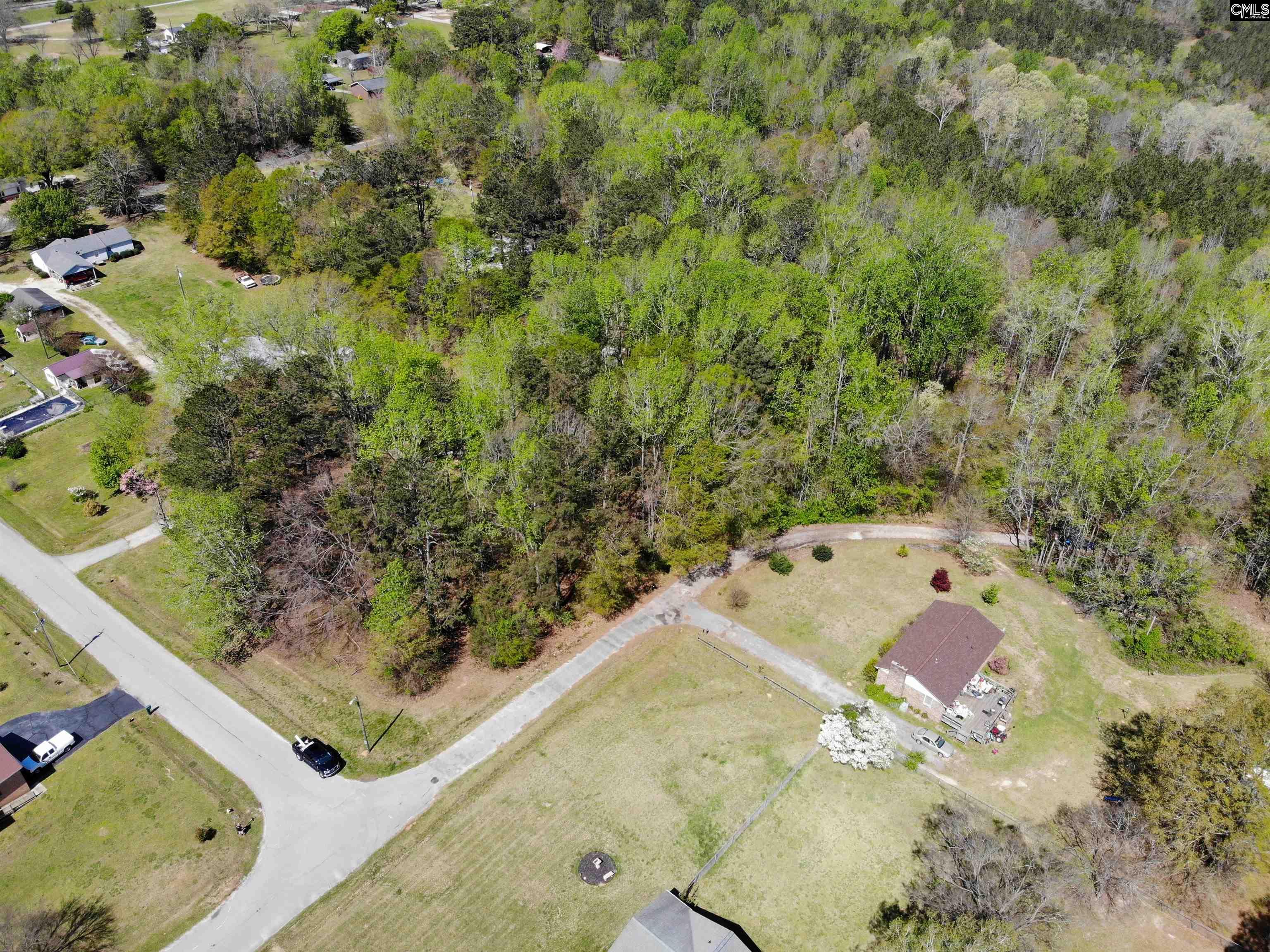 Tbd James Road Joanna, SC 29351 - Photo 45 of 82
