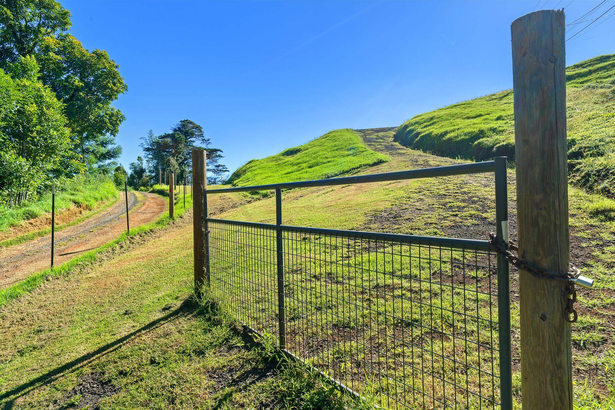 Alaluana Road Makawao, HI 96768 - Photo 16 of 16 Gallery Image 16