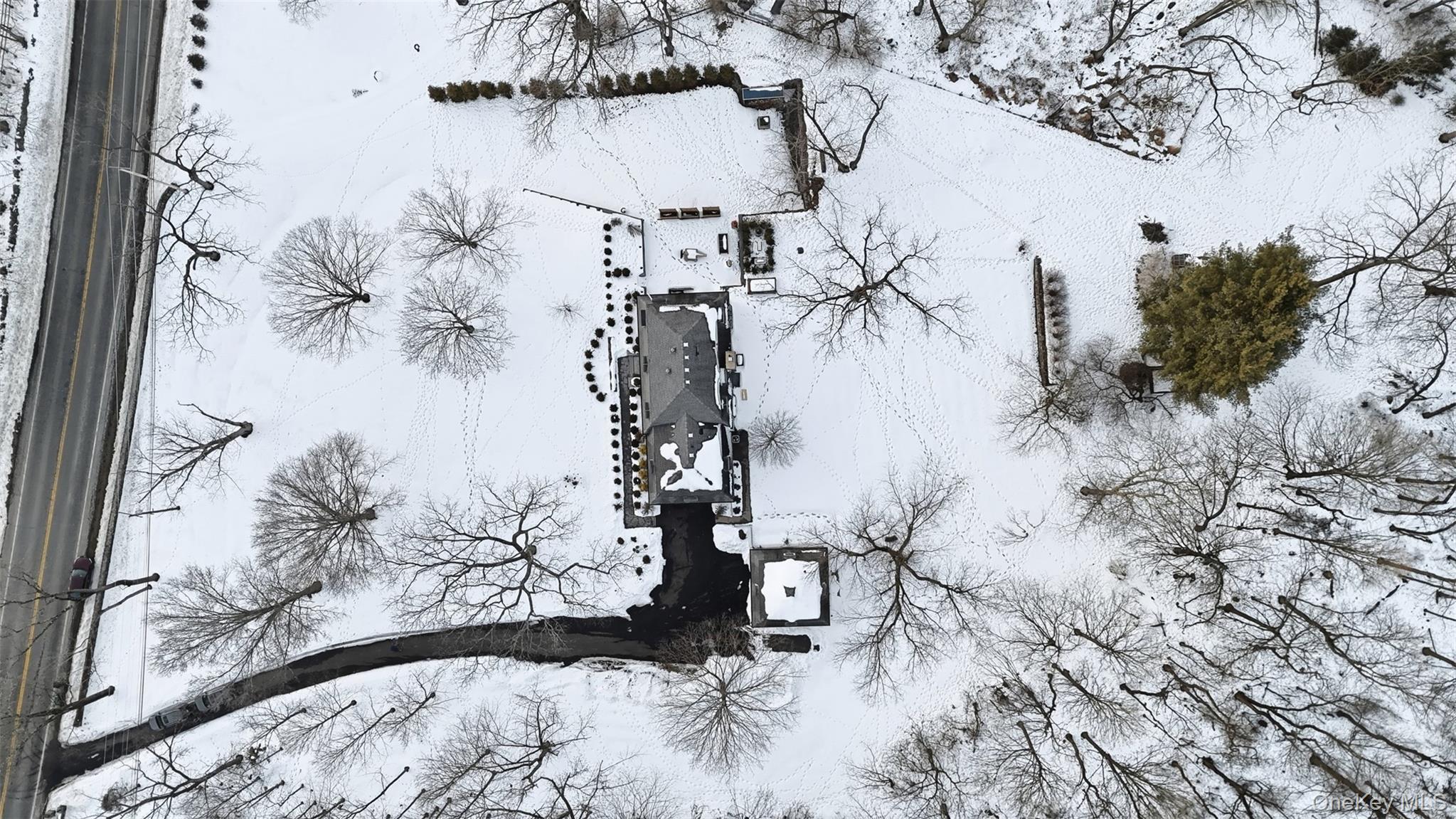 134 Fostertown Road Newburgh, NY 12550 - Photo 4 of 50 a view of a yard with a tree