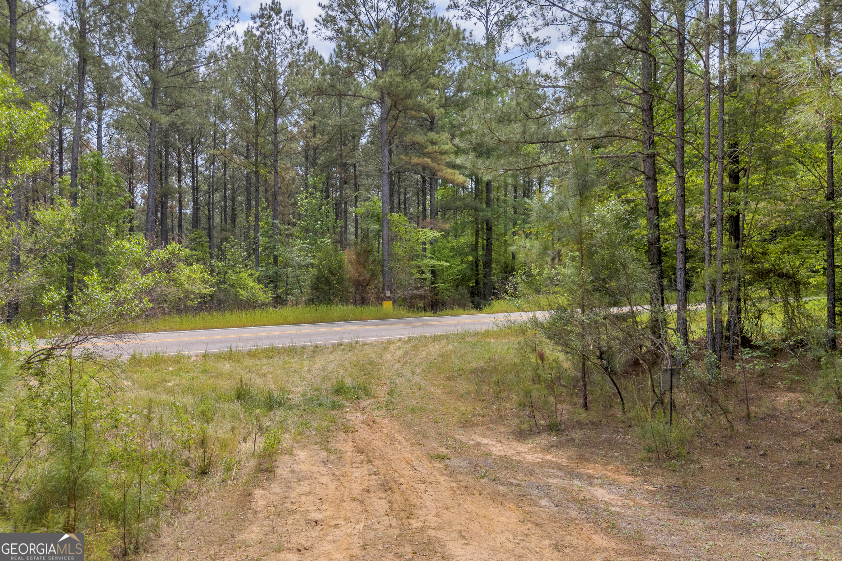 0 Upper Mill Road Northeast Crawfordville, GA 30631 - Photo 23 of 29 a view of a yard with large trees