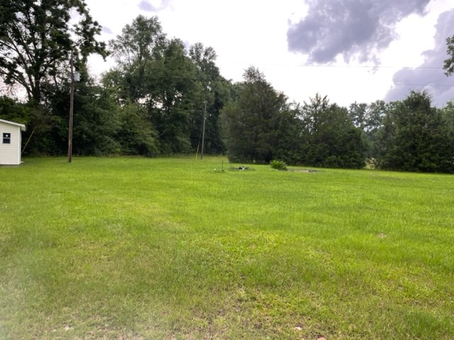 1034 Boys Club Road Dothan, AL 36301 - Photo 20 of 20