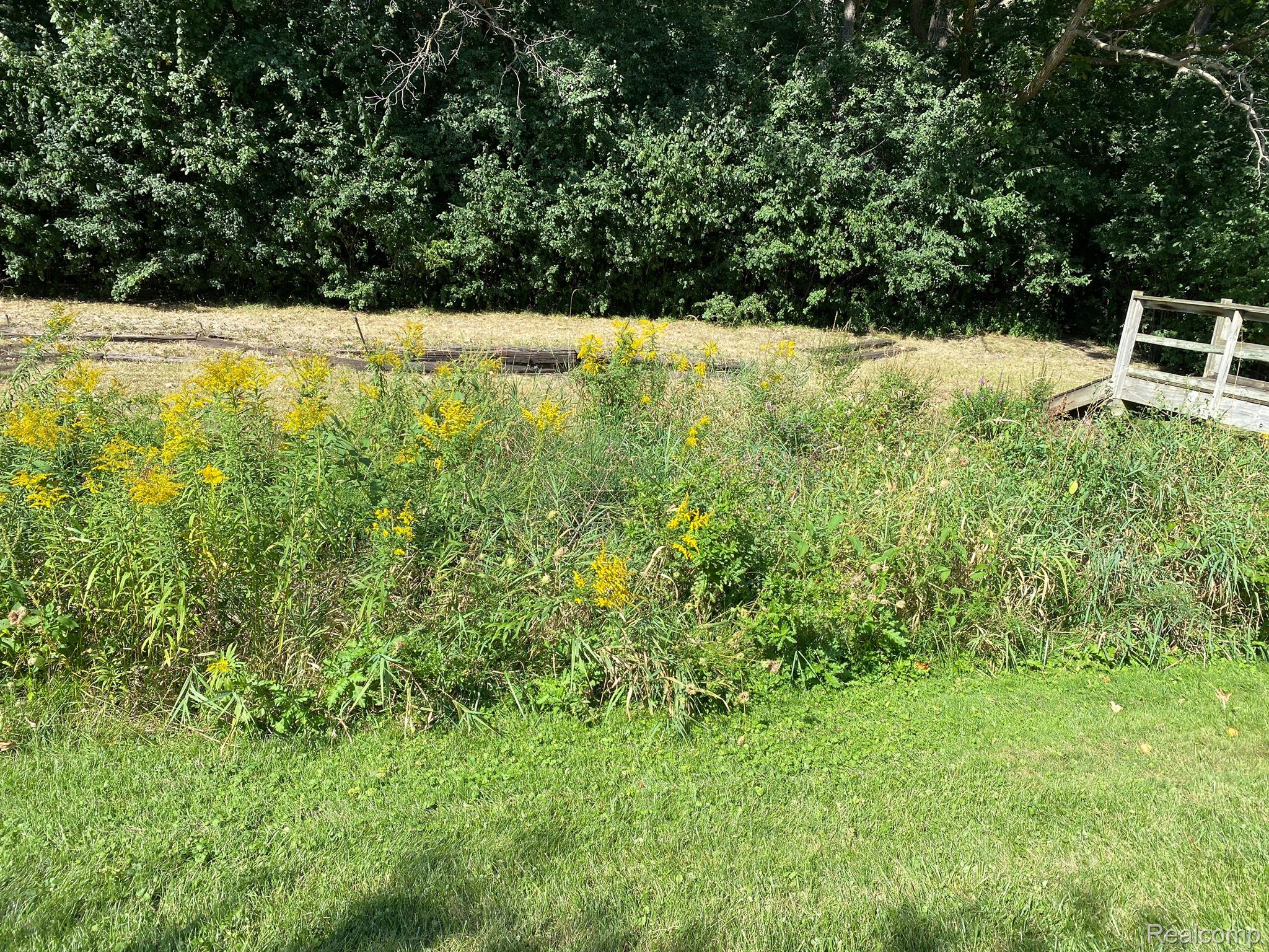 43682 Arlington Road Canton, MI 48187 - Photo 47 of 50 You can do what you want with the foliage on creek