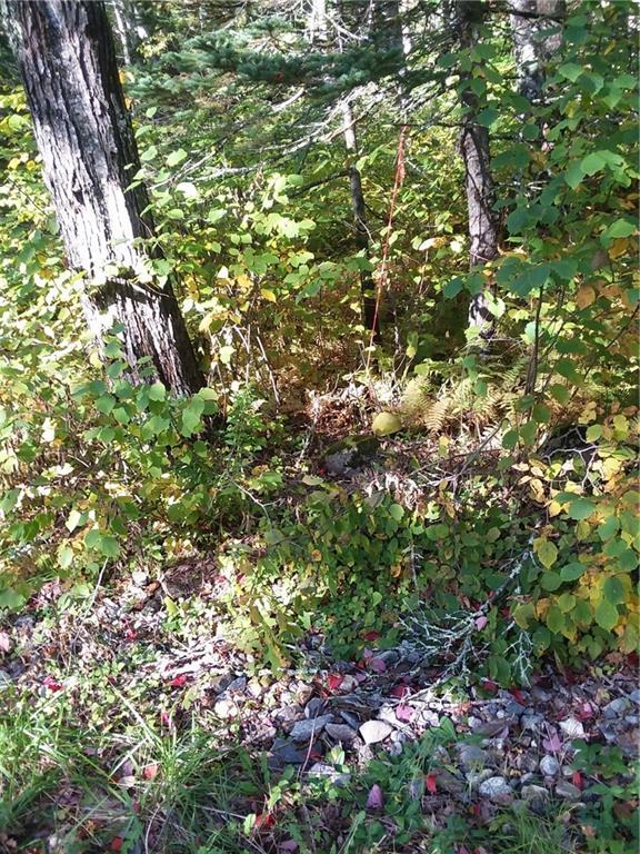 88 Browns Cove Road Round Pond, ME 04564 - Photo 11 of 11 Well location