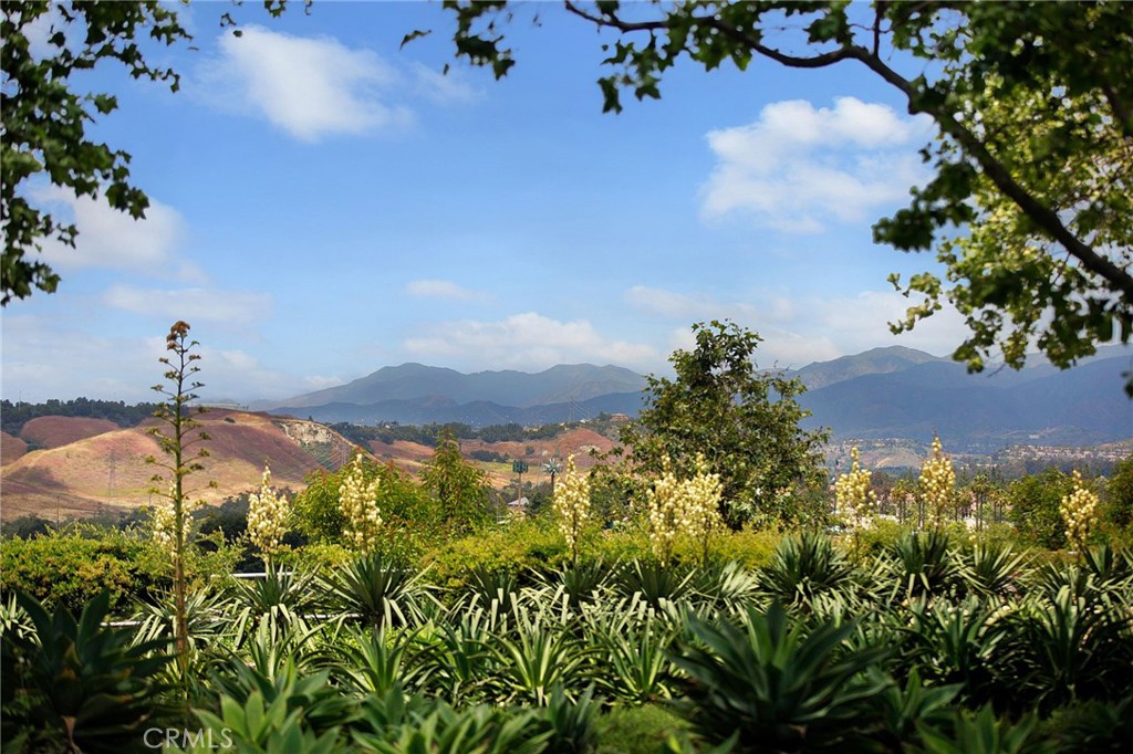 4 Toribeth Street, Unit 8 Ladera Ranch, CA 92694 - Photo 17 of 26 Mountain views throughout the neighborhood