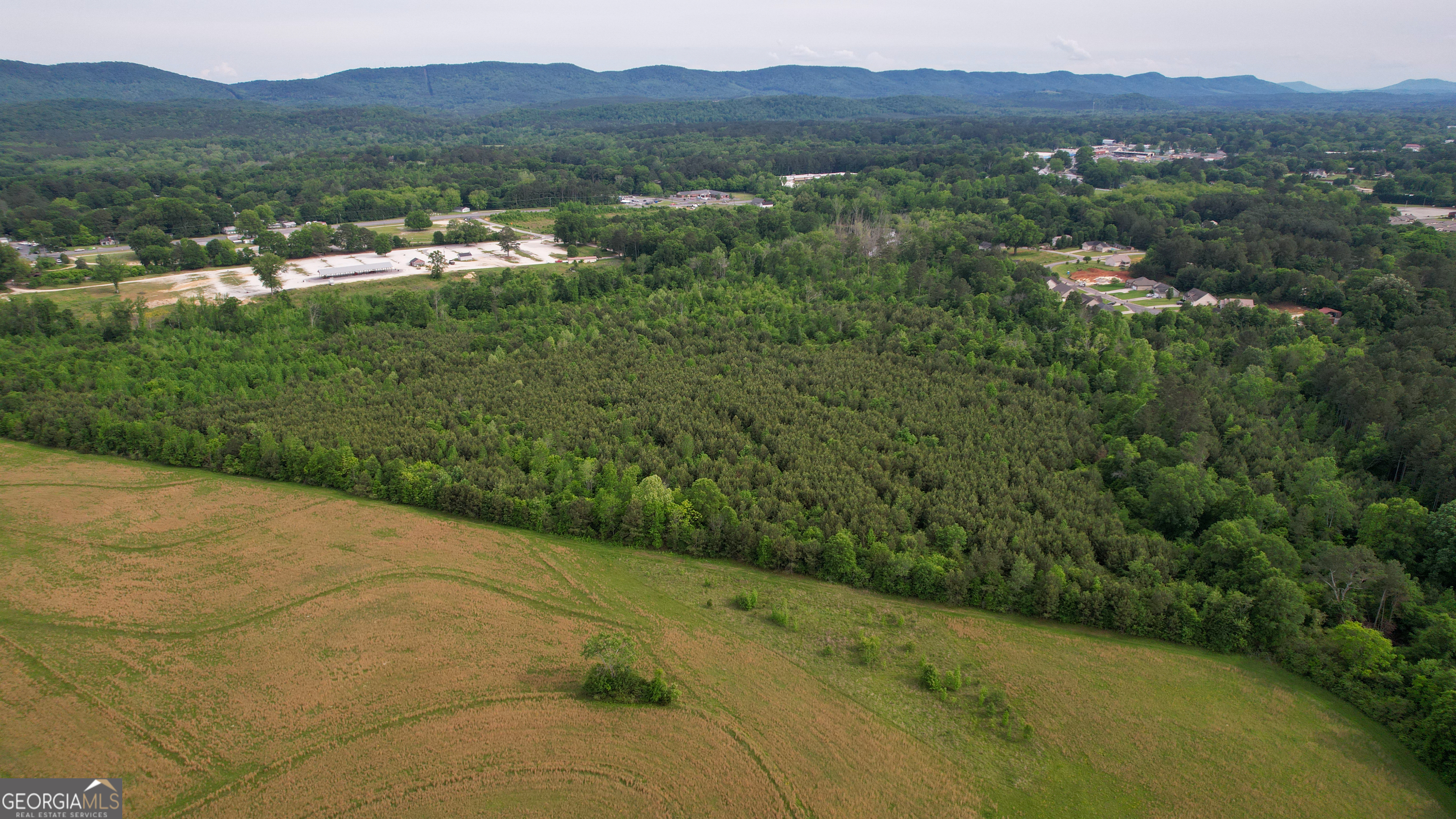 0 Lake Wanda Rita Summerville, GA 30747 - Photo 17 of 21 a view of a lake with a mountain