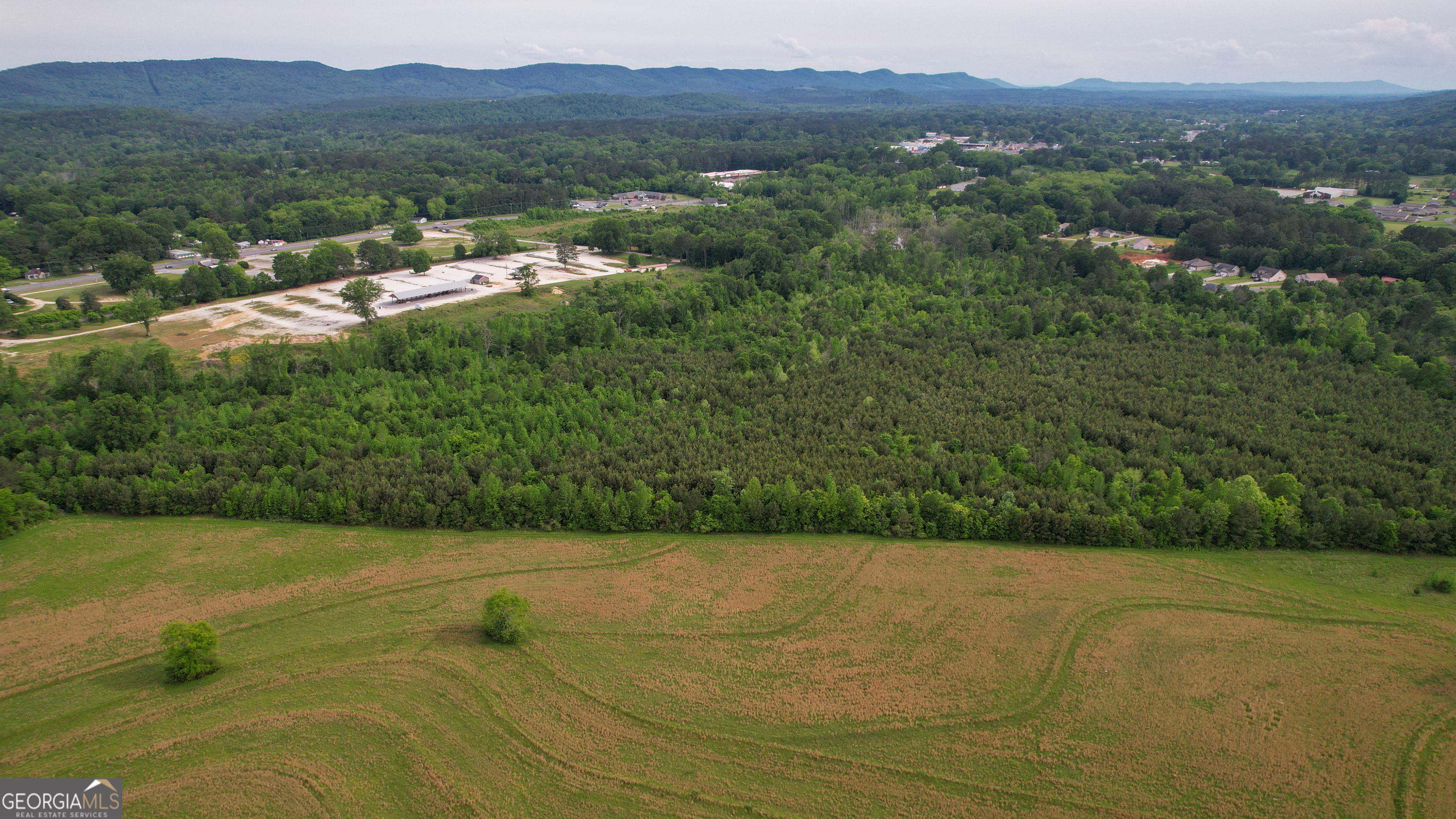 0 Lake Wanda Rita Summerville, GA 30747 - Photo 18 of 21 a view of a lush green field