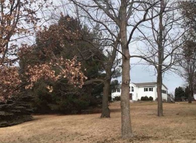 1176 Bay Drive Dixon, IL 61021 - Photo 2 of 2 a view of a house with a snow in the yard