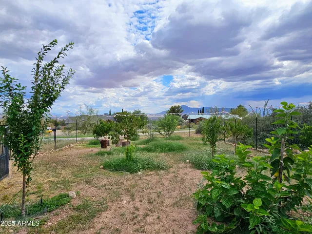 a view of a street with next to a yard